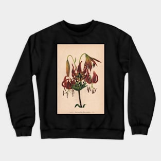 Turk's-cap Lily-Available As Art Prints-Mugs,Cases,Duvets,T Shirts,Stickers,etc Crewneck Sweatshirt